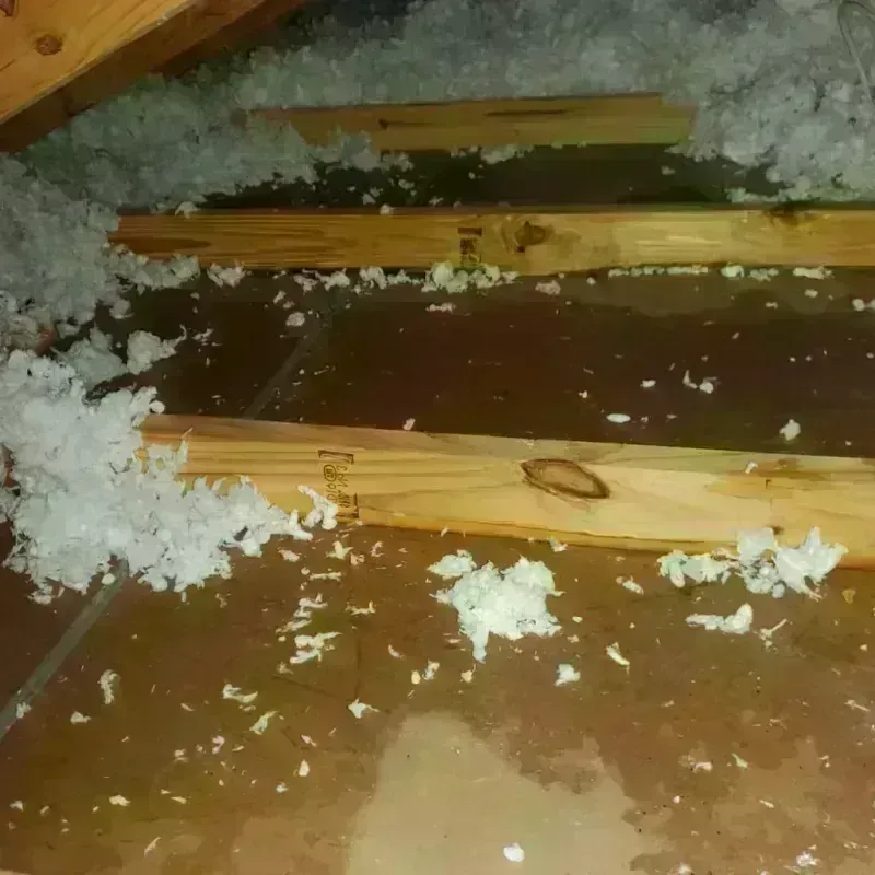 Attic Water Damage in Hardin County, OH